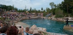 Zoo Nuremberg - Dolphin Lagoon