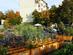 Municipal Garden Nuremberg