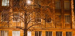 Nürnberger Christkindlesmarkt - Markt der Partnerstädte