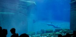 Zoo Nuremberg - Dolphin Lagoon